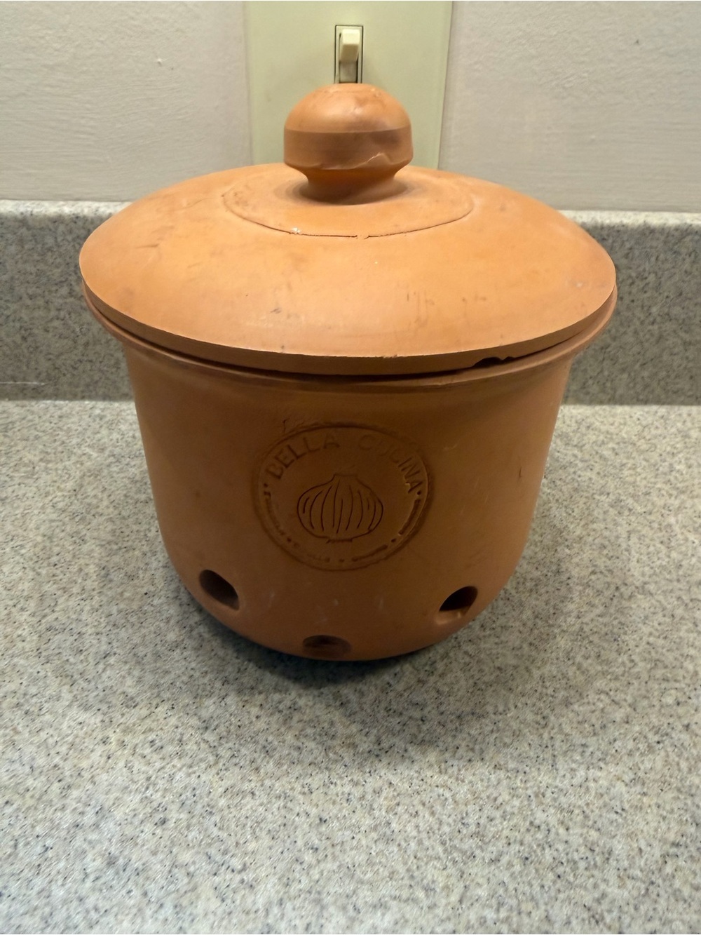 Terracotta Garlic Keeper w/ Lid, Brown Round Farmhouse